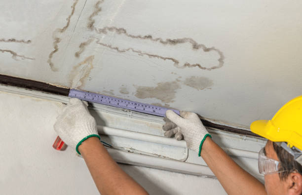 Reliable Sewage Cleanup contractor in Frankfort, OH by Water Damage Irwin